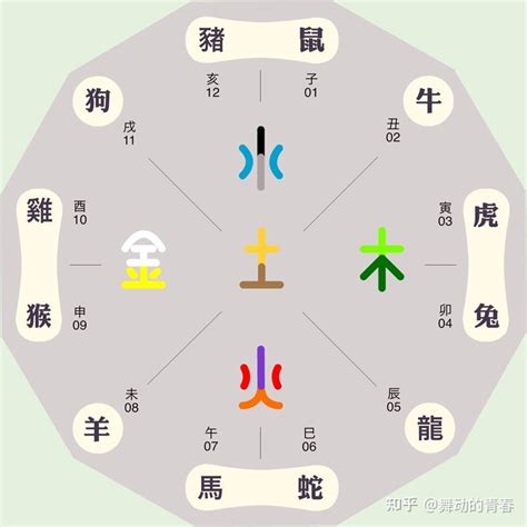 十二生肖五行|十二生肖五行属性对照表